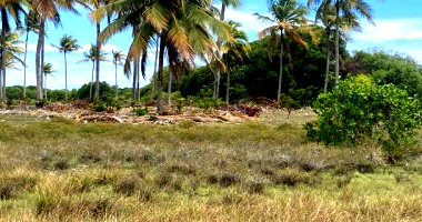 Terreno de 300m² em Loteamento com Potencial de Valorização