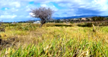 Lote de Terreno com 995m² em Gravatá/PE