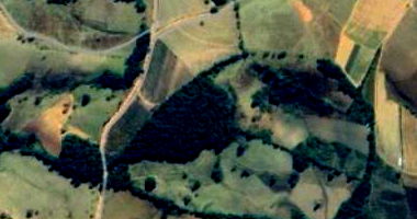 Fração ideal de 41,17% sobre Terreno cultivável no Campinho