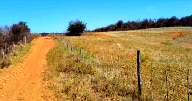 Sítio com 60 hectares em Dormentes/PE