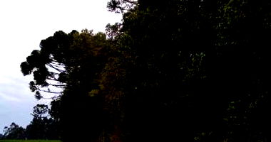 Terreno Rural com 24.200m² em Rio Azul-PR