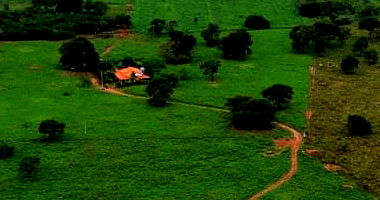 Fazenda Bebedouro II e Vereda - Ocupada
