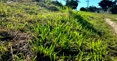 Terreno 250m² em condomínio residencial, aclive, desocupado