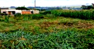 Terreno Urbano com 300m² em Palotina/PR