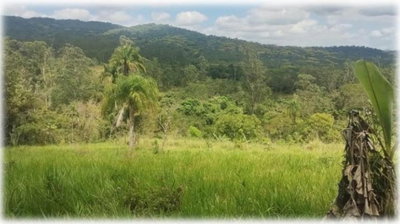 Terreno de 48.000m² com Direitos Possessórios
