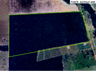 Fazenda Rural com 196,77 Hectares em Cacoal/RO