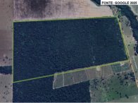 Fazenda Rural com 196,77 Hectares em Cacoal/RO