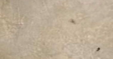 Garagem nº 16 em Gaveta para Dois Veículos