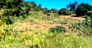 Terreno Urbano com Área Total de 1.000m² em Três Passos/RS