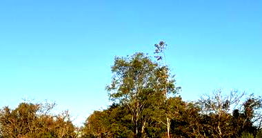 Terreno em Campo Mourão/Pr com 3,98ha