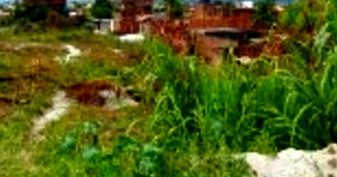 Terreno amplo de 10 hectares, Gleba 03, imóvel ocupado