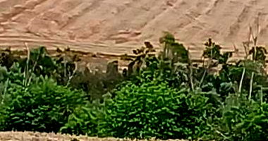 Direitos Possessórios de Chácara em Campo Magro/PR