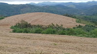 Direitos Possessórios de Chácara em Campo Magro/PR