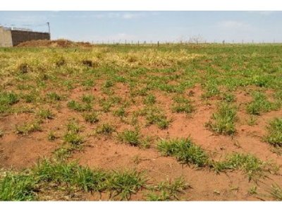 Terreno de 340m² em leilão