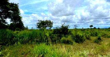 Fazenda com 1.506ha em Tesouro/MT