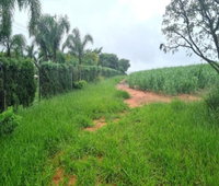 Espaçosa Chácara Rural com 9,12 ha de Terreno