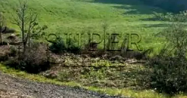 Área Rural de 12 ha em Passa Sete/RS