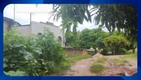 IMÓVEL RURAL ENGENHO FALCÃO - 412 HECTARES EM ALIANÇA/PE