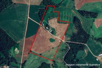 Imóvel Rural 11ha em Palmitos/SC