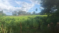 Terreno Rural de 316.305m² em Icém/SP - 12 Alqueires