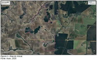 Duas Fazendas com 725,60 e 955,89 hectares, desocupadas