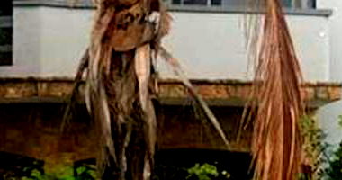 Casa padrão com 7 quartos, 6 banheiros, 1 vaga, área construída 318,7m²