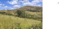 Fazenda Gangolô - Imóvel Rural com Benfeitorias em Coronel Murta/MG