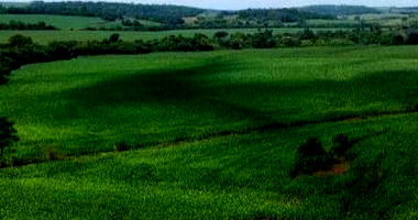 IMÓVEL RURAL com 70.050 m² em Mercedes/PR