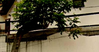 Casa com 174m² construídos em São Paulo