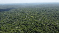 Fazenda Gabriela - Imóvel Rural com 1.529,8730ha