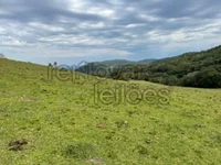 Área rural de 2,86 ha em Silveira Martins, sem benfeitorias
