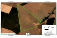Lote Rural com 74,4512 ha em Pongaí - SP