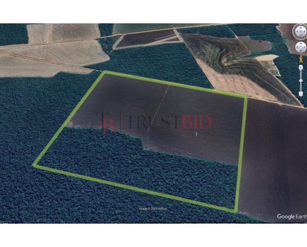 Fazenda Rural Ocupada com 142 hectares em Tapurah/MT
