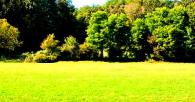 Terreno em São Leopoldo com 420m²