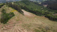 Imóvel Rural com 24,98 ha em Novo Horizonte/SC