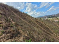 Terreno 542m² em Timbaúba/PE - Lote 162