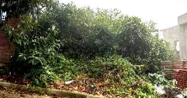 Terreno em Taquara/RS com 240,12m²