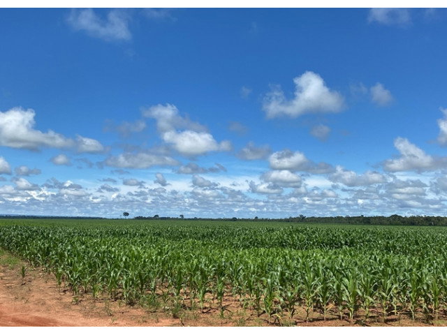 Sítio Rural com 98,8478ha em Cerejeiras/RO