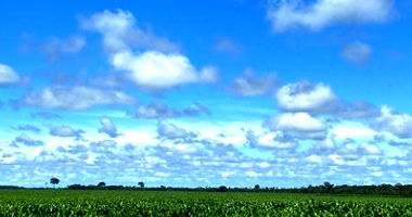 Sítio Rural com 98,8478ha em Cerejeiras/RO