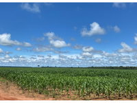 Sítio Rural com 98,8478ha em Cerejeiras/RO