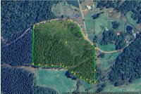 Terreno Rural 41.746m² em Água Doce/SC - Oportunidade Única