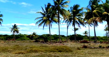 Terreno em Loteamento com Potencial de Investimento