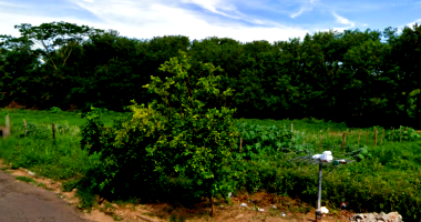 Terreno amplo de 5.310m² em Adamantina/SP