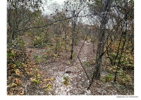 50 hectares de terras em Itainópolis/PI - Oportunidade única!