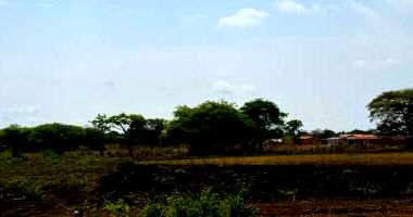 Terreno com 446m² em Araguacema/TO