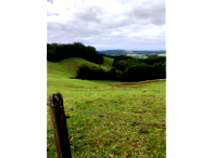 Chácara rural com 6,12 hectares, sem benfeitorias, terreno amplo