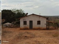 Fazenda Ladeira Nova - 100 Hectares em Cocos/BA