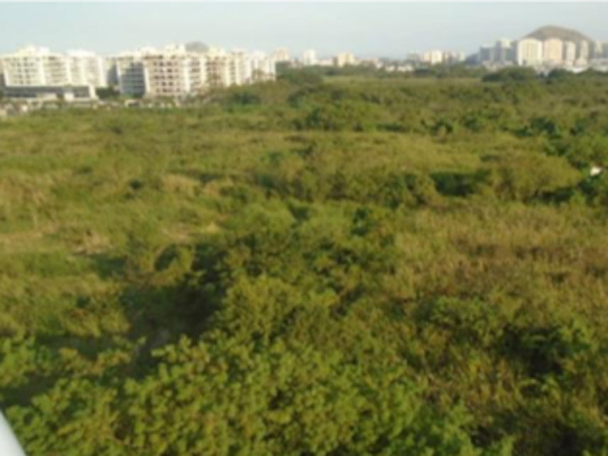 Terreno amplo e no Recreio dos Bandeirantes