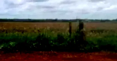 Espaçosa Fazenda Rural com Casas Ocupadas e Áreas Amplas