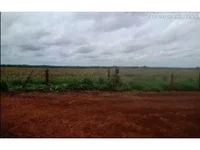Espaçosa Fazenda Rural com Casas Ocupadas e Áreas Amplas